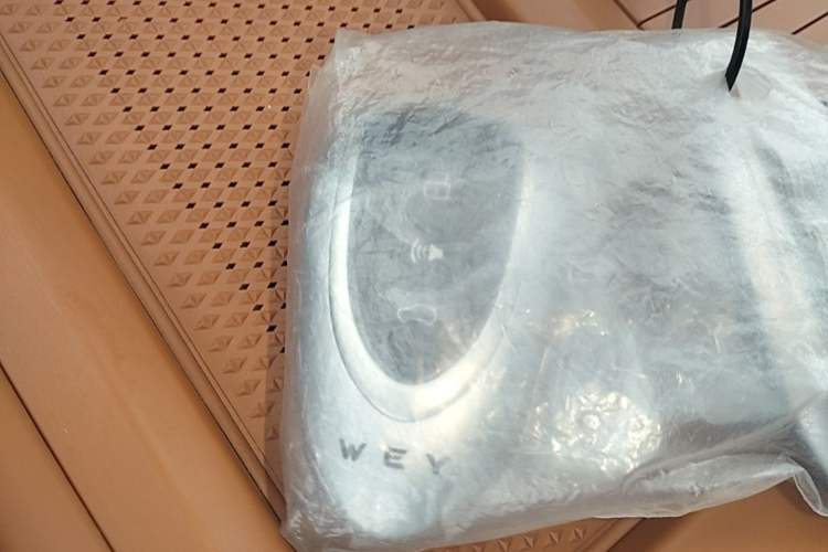 Used Wey Lanshan 2025 Four-Wheel Drive Max Vehicle Key