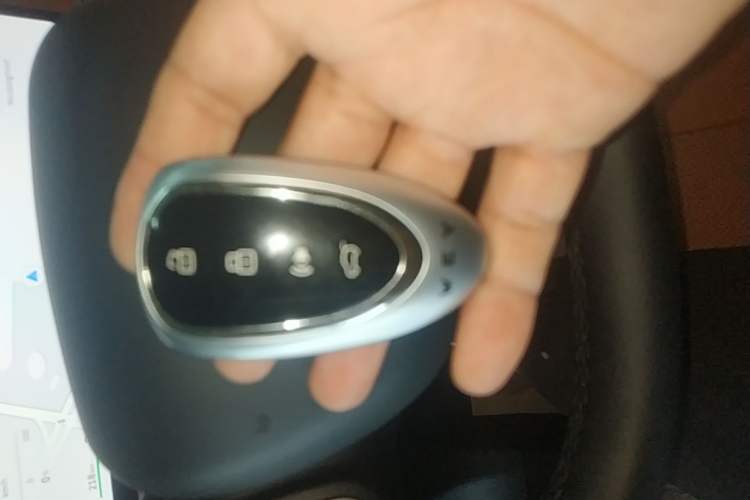 Used Wey Lanshan 2025 Four-Wheel Drive Ultra Vehicle Key