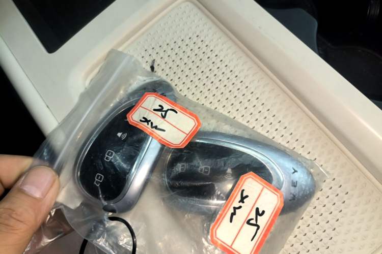 Used Wey Lanshan 2025 Four-Wheel Drive Max Vehicle Key