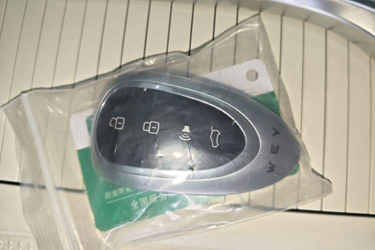 Used Wey Lanshan 2025 Four-Wheel Drive Max Vehicle Key