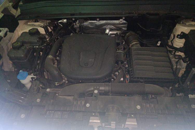Used Wey Lanshan 2025 Four-Wheel Drive Max Engine Bay