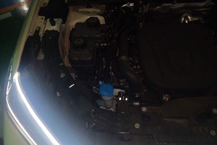 Used Wey Lanshan 2025 Four-Wheel Drive Max Engine Bay Right
