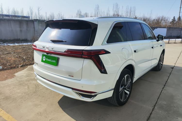 Used Wey Lanshan 2025 Four-Wheel Drive Max Exterior 5