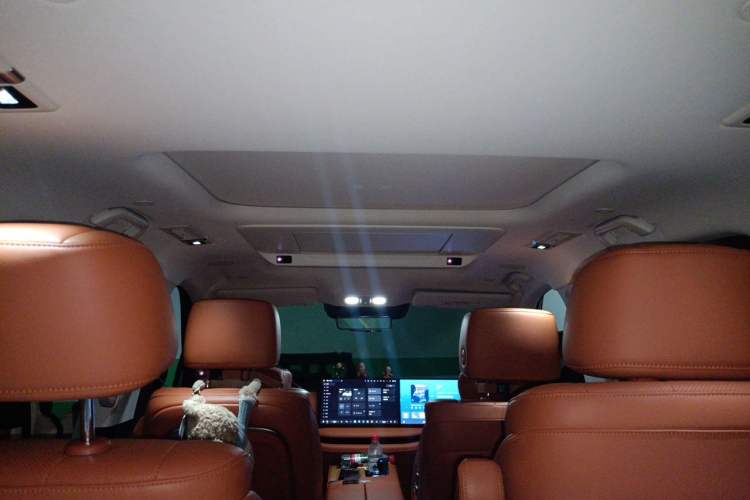 Used Wey Lanshan 2025 Four-Wheel Drive Max Headliner