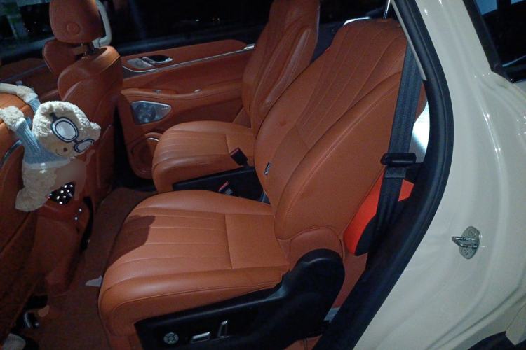 Used Wey Lanshan 2025 Four-Wheel Drive Max Left Rear Seat