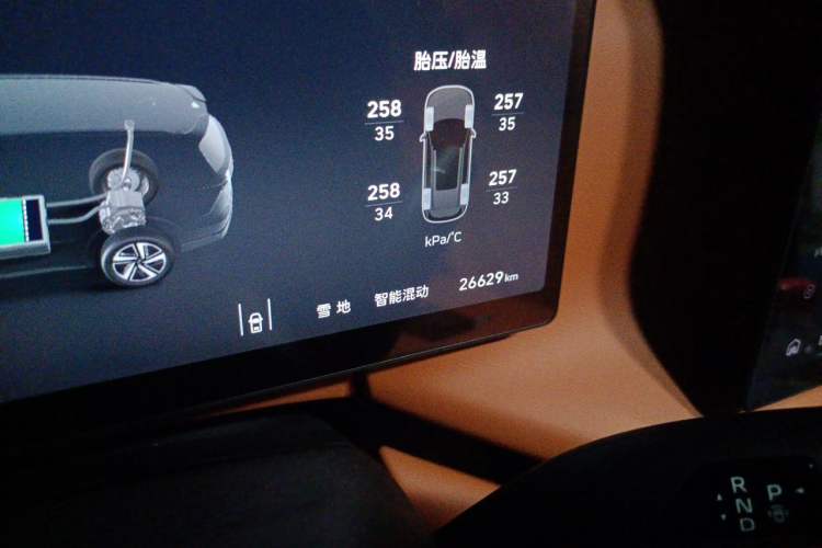 Used Wey Lanshan 2025 Four-Wheel Drive Max Odometer Close Up