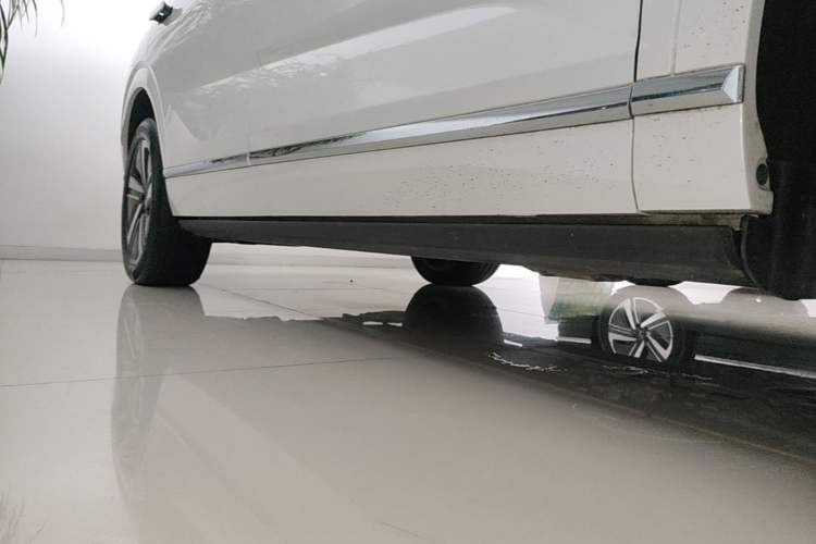 Used Wey Lanshan 2025 Four-Wheel Drive Max Right Side Sill