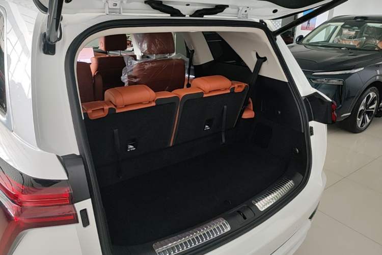 Used Wey Lanshan 2025 Four-Wheel Drive Max Trunk