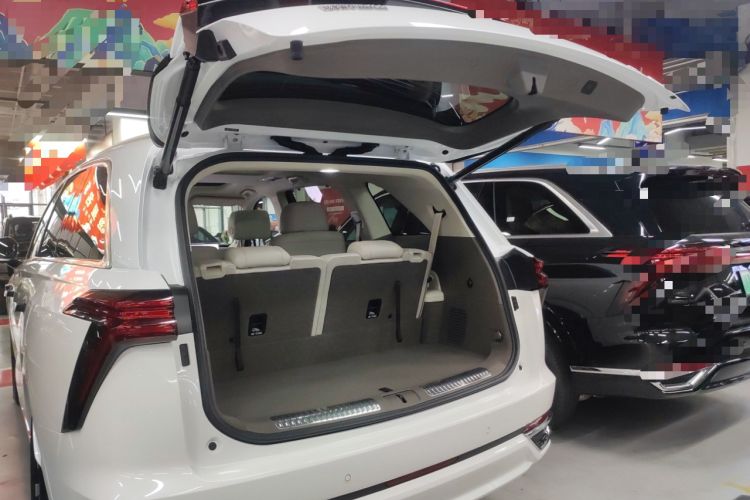 Used Wey Lanshan 2025 Four-Wheel Drive Max Trunk