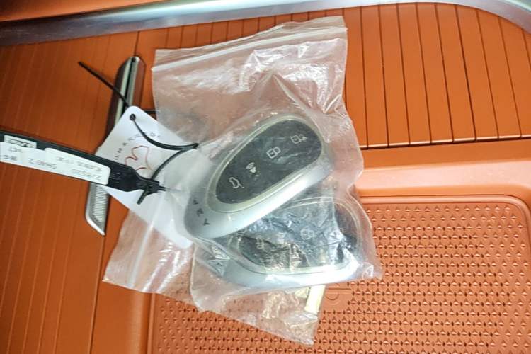 Used Wey Lanshan 2025 Four-Wheel Drive Max Vehicle Key