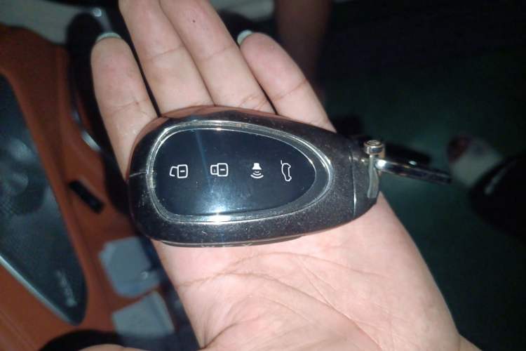 Used Wey Lanshan 2025 Four-Wheel Drive Max Vehicle Key