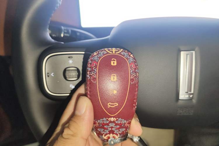 Used Wey Lanshan 2025 Four-Wheel Drive Ultra Vehicle Key