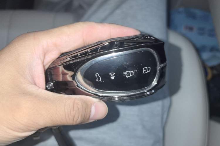 Used Wey Lanshan 2025 Four-Wheel Drive Max Vehicle Key