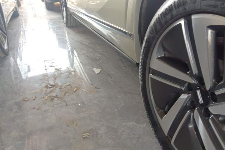 Used Wey Lanshan 2025 Four-Wheel Drive Max Left Side Sill