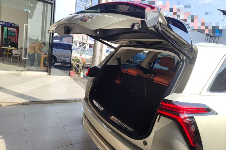 Used Wey Lanshan 2025 Four-Wheel Drive Max Trunk