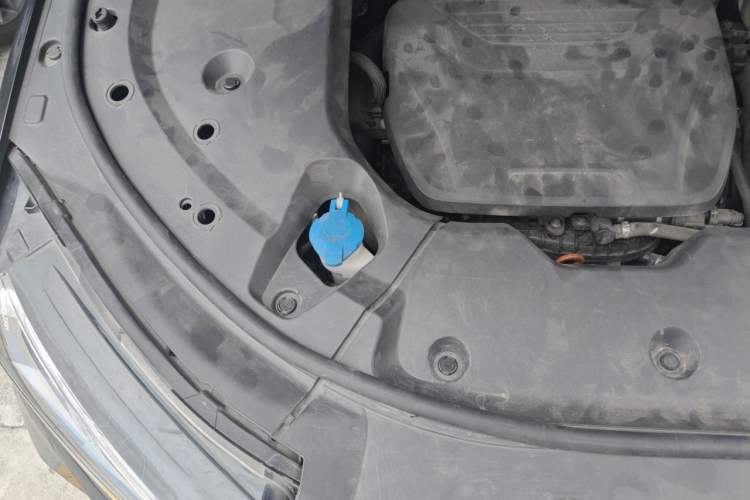 Used Wey Latte DHT 2022 1.5T DHT Extra-Large Cup Engine Bay Right