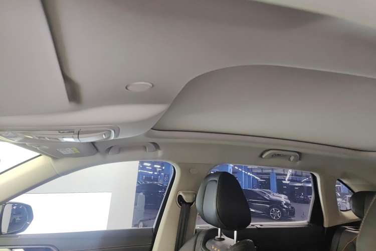 Used Wey Latte DHT 2022 1.5T DHT Extra-Large Cup Headliner