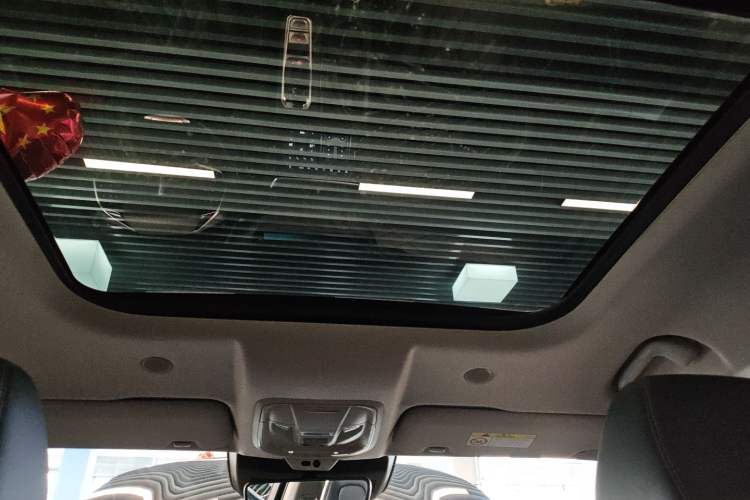 Used Wey Latte DHT 2022 1.5T DHT Extra-Large Cup Headliner