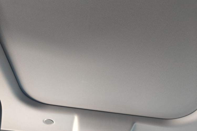 Used Wey Latte DHT 2022 1.5T DHT Extra-Large Cup Headliner