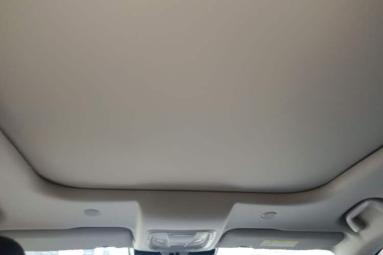 Used Wey Latte DHT 2022 1.5T DHT Extra-Large Cup Headliner