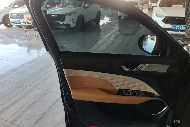 Used Wey Latte DHT 2022 1.5T DHT Extra-Large Cup Left Front Door Interior