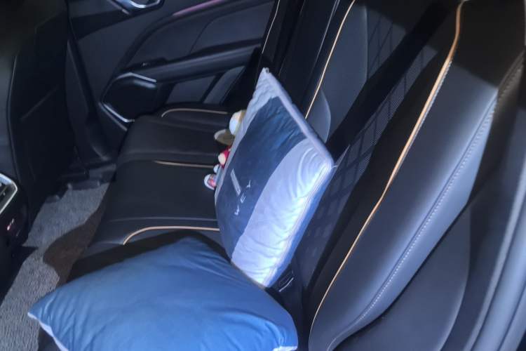 Used Wey Latte DHT 2022 1.5T DHT Big Cup Left Rear Seat