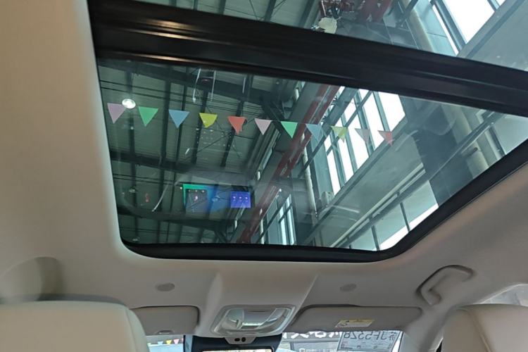 Used Wey Latte DHT 2022 1.5T DHT Extra-Large Cup Headliner