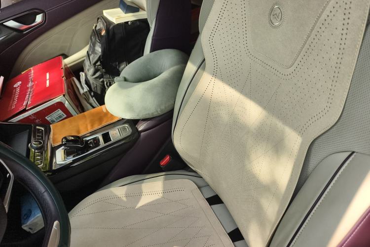Used Wey Latte DHT 2022 1.5T DHT Big Cup Left Front Seat