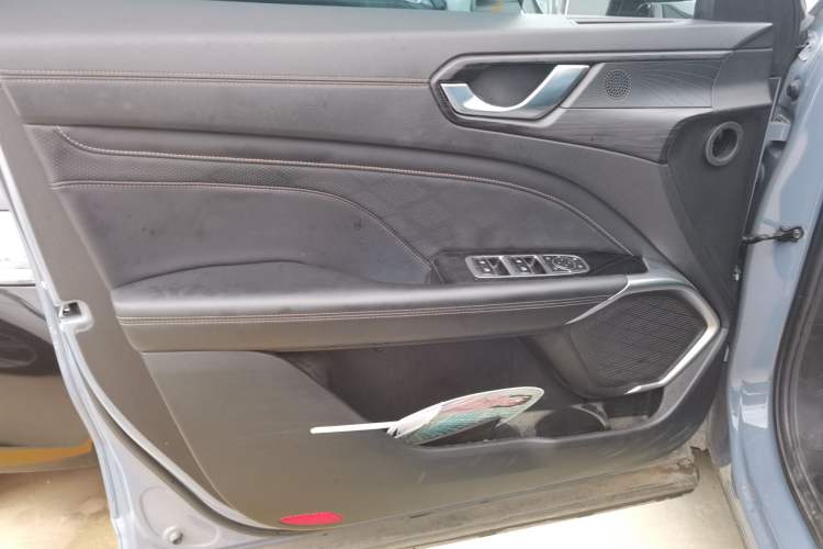 Used Wey Latte DHT 2022 1.5T DHT Medium Cup Left Front Door Interior