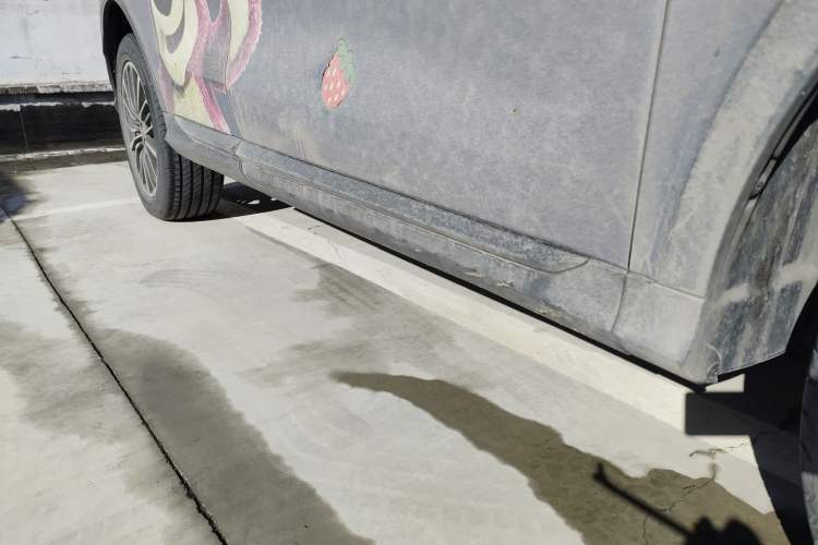 Used Wey Latte DHT 2022 1.5T DHT Big Cup Right Side Sill