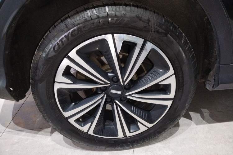 Used Wey Latte DHT 2022 1.5T DHT Medium Cup Exterior 5