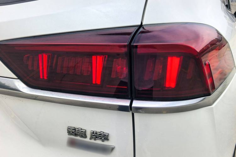 Used Wey Latte DHT 2022 1.5T DHT Extra-Large Cup Exterior 13