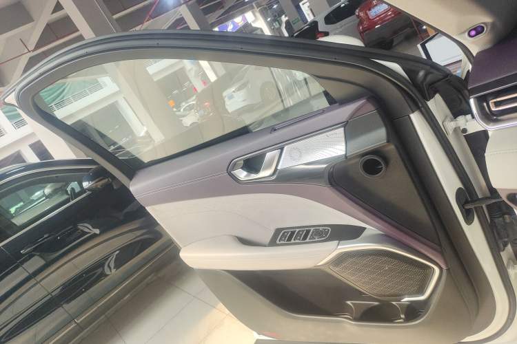 Used Wey Latte DHT 2022 1.5T DHT Extra-Large Cup Left Front Door Interior