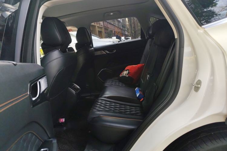 Used Wey Latte DHT 2022 1.5T DHT Extra-Large Cup Left Rear Seat