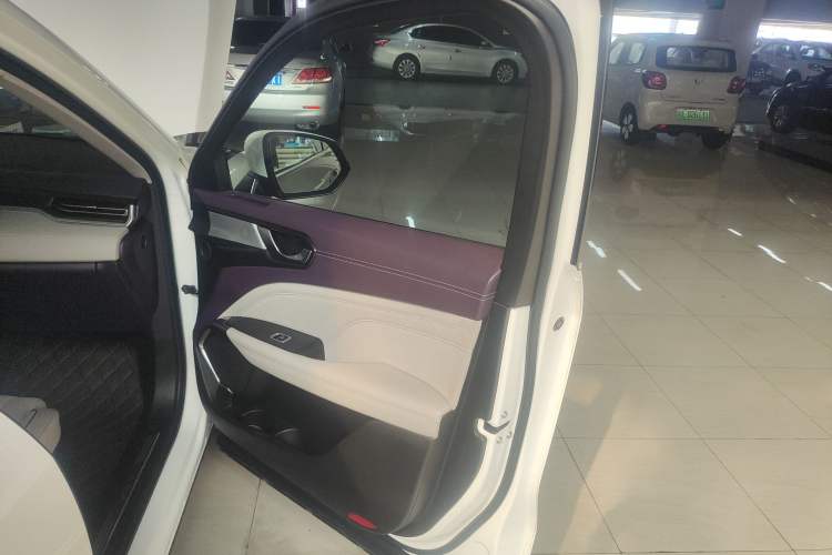 Used Wey Latte DHT 2022 1.5T DHT Extra-Large Cup Right Front Door Interior