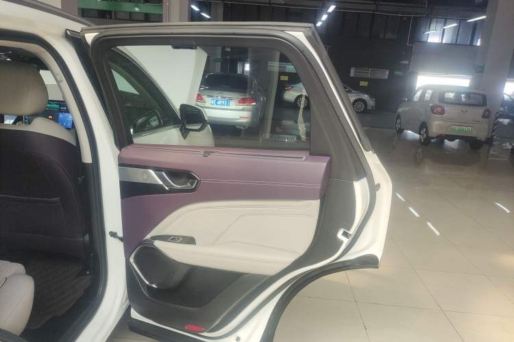 Used Wey Latte DHT 2022 1.5T DHT Extra-Large Cup Right Rear Door Interior