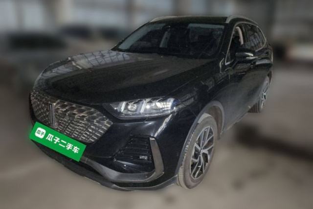 Used Wey Latte DHT-PHEV 2022 1.5T Two-Wheel Drive Big Cup