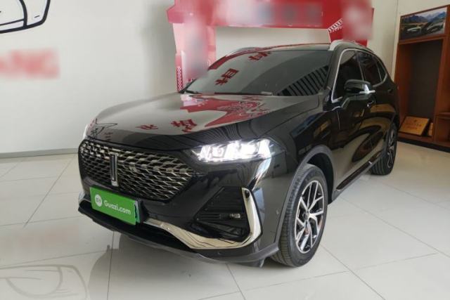 Used Wey Latte DHT-PHEV 2022 1.5T Two-Wheel-Drive Extra-Large Version