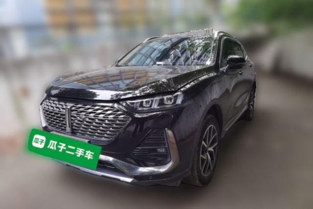 Used Wey Latte DHT-PHEV 2022 1.5T Two-Wheel-Drive Extra-Large Version