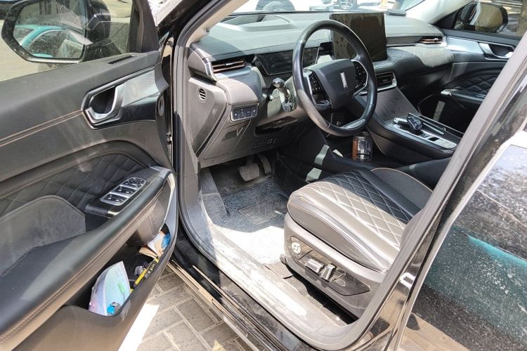 Used Wey Latte DHT-PHEV 2022 1.5T Two-Wheel-Drive Extra-Large Version Driver Seat