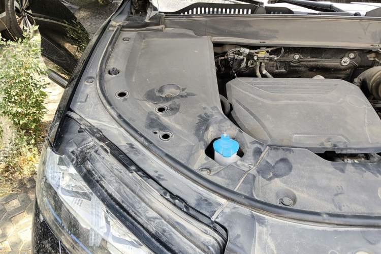 Used Wey Latte DHT-PHEV 2022 1.5T Two-Wheel-Drive Extra-Large Version Engine Bay Right
