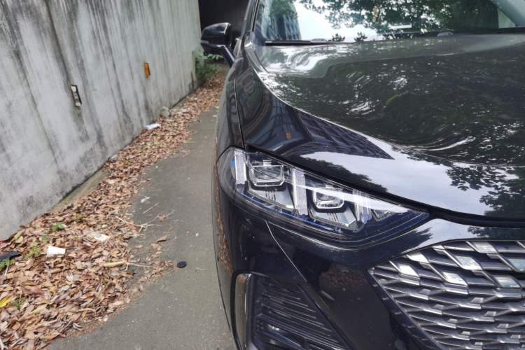 Used Wey Latte DHT-PHEV 2022 1.5T Two-Wheel-Drive Extra-Large Version Exterior 6