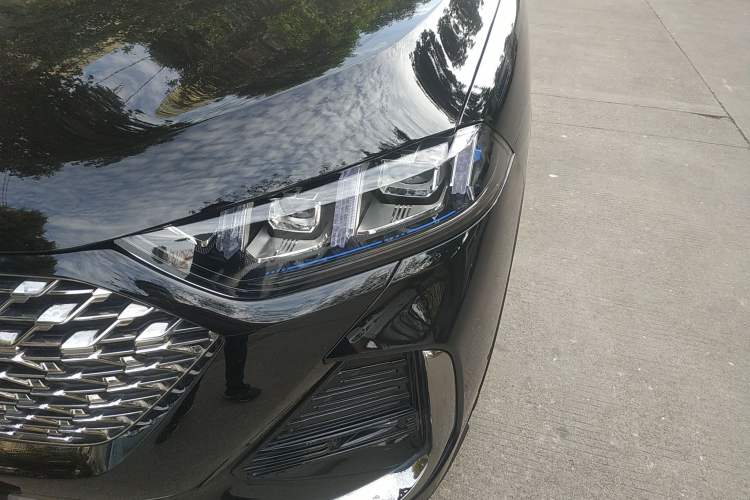 Used Wey Latte DHT-PHEV 2022 1.5T Two-Wheel-Drive Extra-Large Version Left Front Headlight