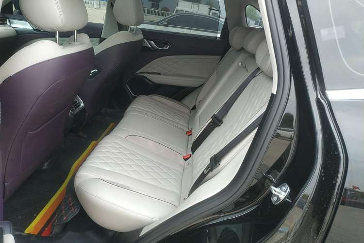 Used Wey Latte DHT-PHEV 2022 1.5T Two-Wheel-Drive Extra-Large Version Left Rear Seat