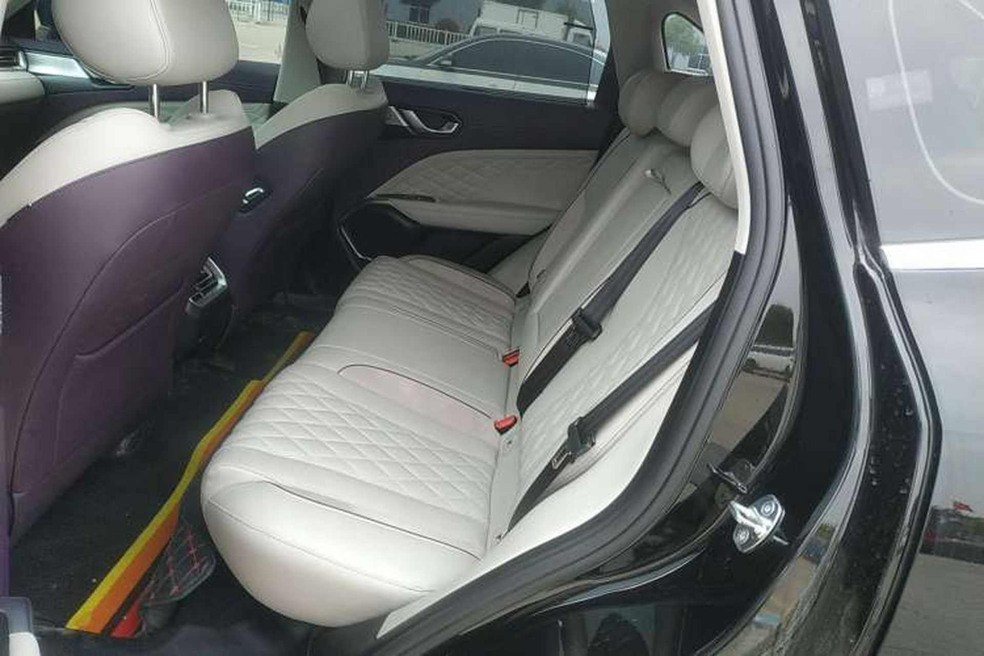 Used Wey Latte DHT-PHEV 2022 1.5T Two-Wheel-Drive Extra-Large Version Left Rear Seat