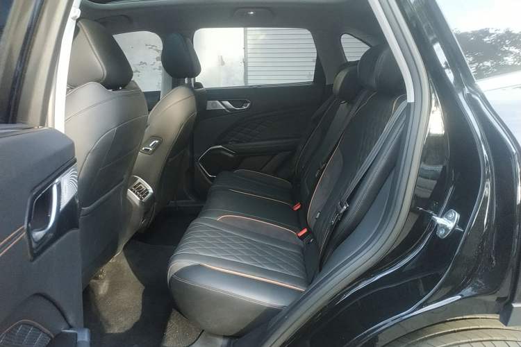 Used Wey Latte DHT-PHEV 2022 1.5T Two-Wheel-Drive Extra-Large Version Left Rear Seat