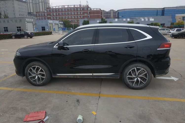 Used Wey Latte DHT-PHEV 2022 1.5T Two-Wheel-Drive Extra-Large Version Left Side