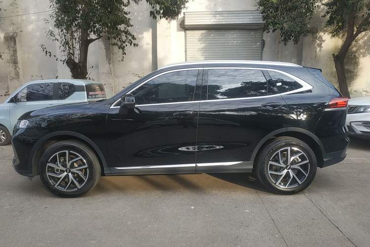 Used Wey Latte DHT-PHEV 2022 1.5T Two-Wheel-Drive Extra-Large Version Left Side