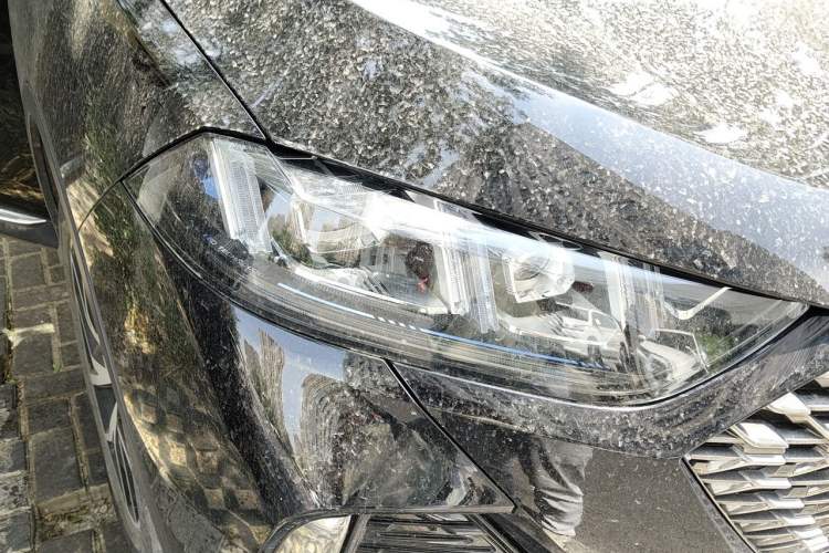 Used Wey Latte DHT-PHEV 2022 1.5T Two-Wheel-Drive Extra-Large Version Right Front Headlight