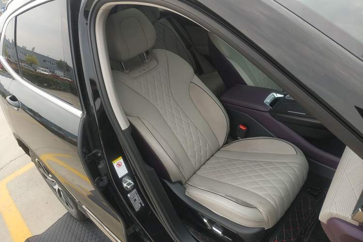 Used Wey Latte DHT-PHEV 2022 1.5T Two-Wheel-Drive Extra-Large Version Right Front Seat